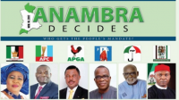 Vote Count Begins At Nnewi, Anambra
