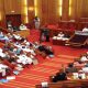 Nigeria News