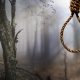 hanging of 2 in ekiti state