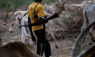 Catholic Priests Blast Buhari Over Incessant KIllings