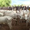 Bandits Attack Community, Kill 3, Injured Four In Kaduna