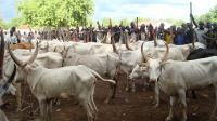 Bandits Attack Community, Kill 3, Injured Four In Kaduna