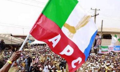 APC flag in the crowd