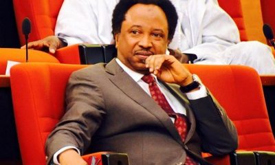 Shehu-Sani