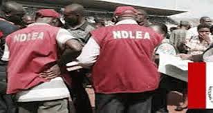 NDLEA Capture