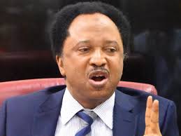 Shehu Sani tweeted