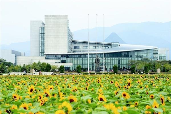 Zhejiang Normal University Scholarship