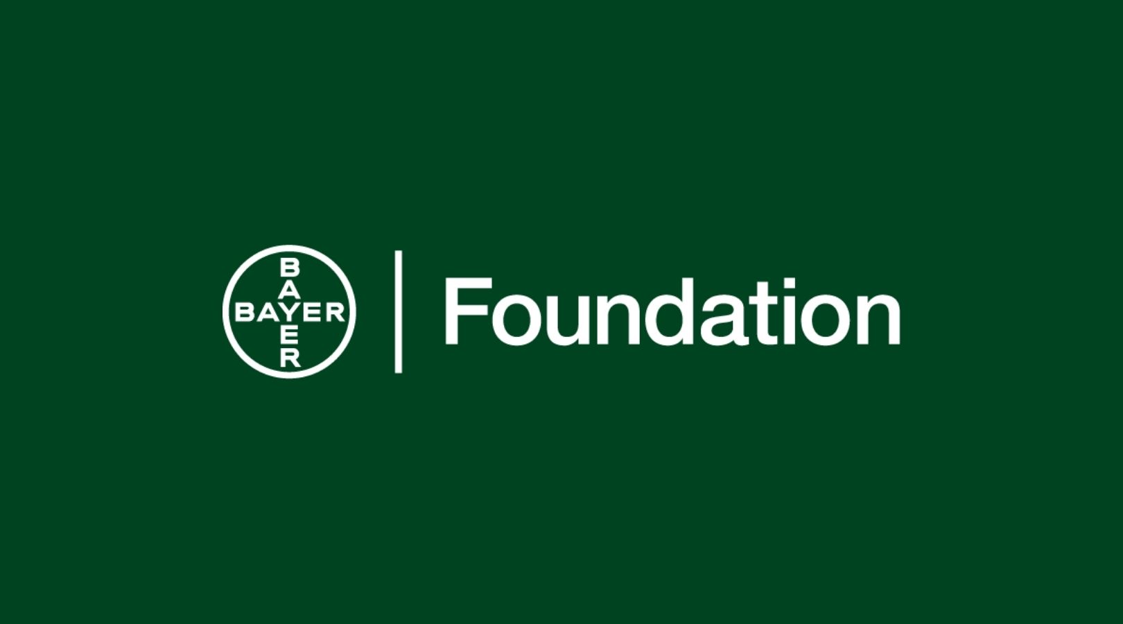 Bayer Foundation Fellowship Program